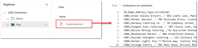 Screen shot of Files showing customer.csv file loaded and then showing the file content