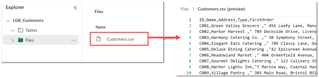 Screen shot of Files showing customer.csv file loaded and then showing the file content